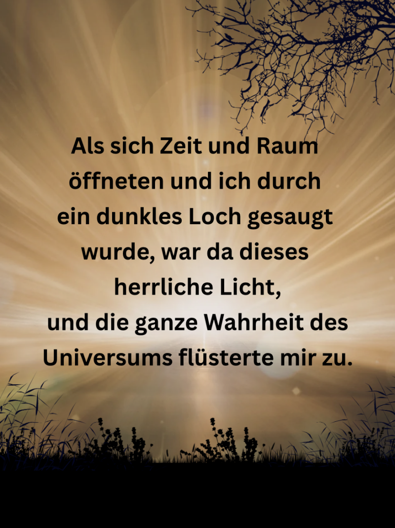 die andere Dimension